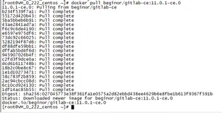 centos7下docker搭建gitlab-ce中文版