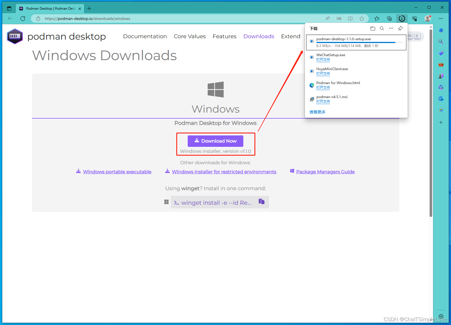 Windows installer, version v1.1.0