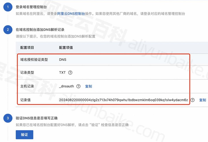 域名DNS验证解析记录信息.jpg