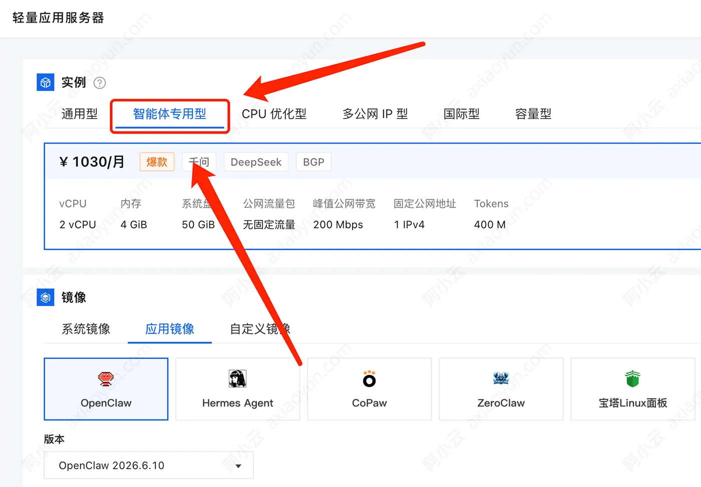 阿里云轻量应用服务器智能体专用型.jpg