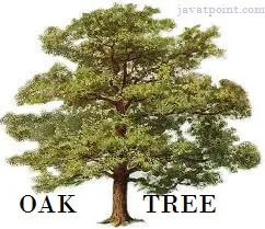 oak.jpg