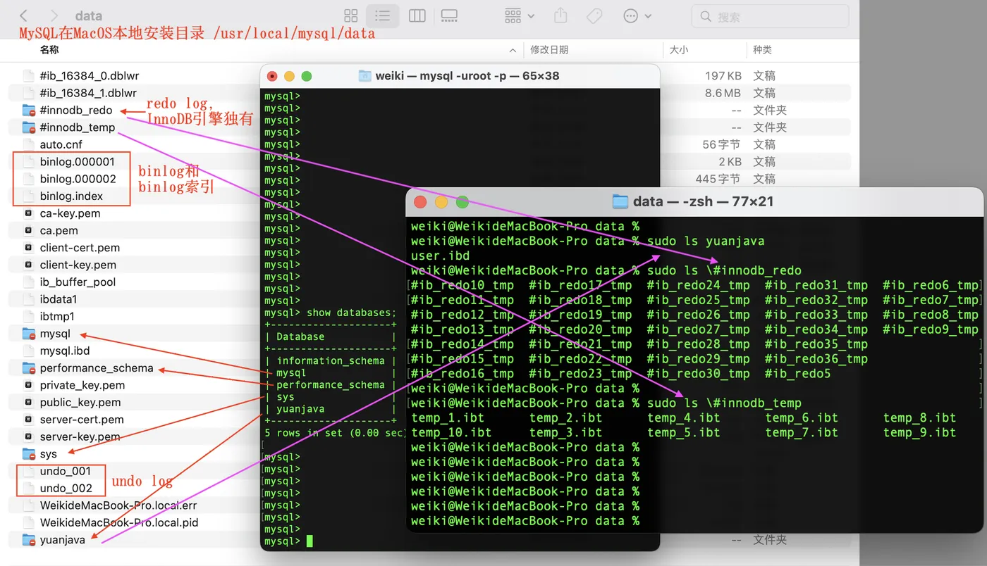 mysql-log.png