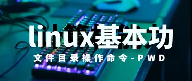 linux基本功系列之pwd命令实战
