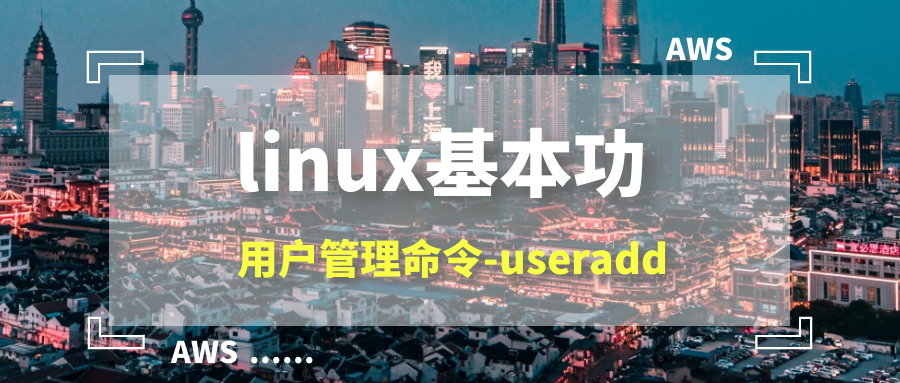 linux基本功系列之useradd命令实战