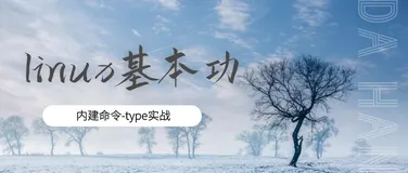 Linux基本功系列之type命令实战