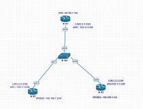 Cisco—DMVPN 案例配置及原理分析