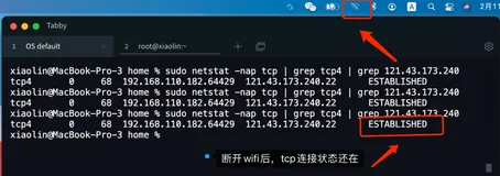 拔掉网线后， 原本的 TCP 连接还存在吗？