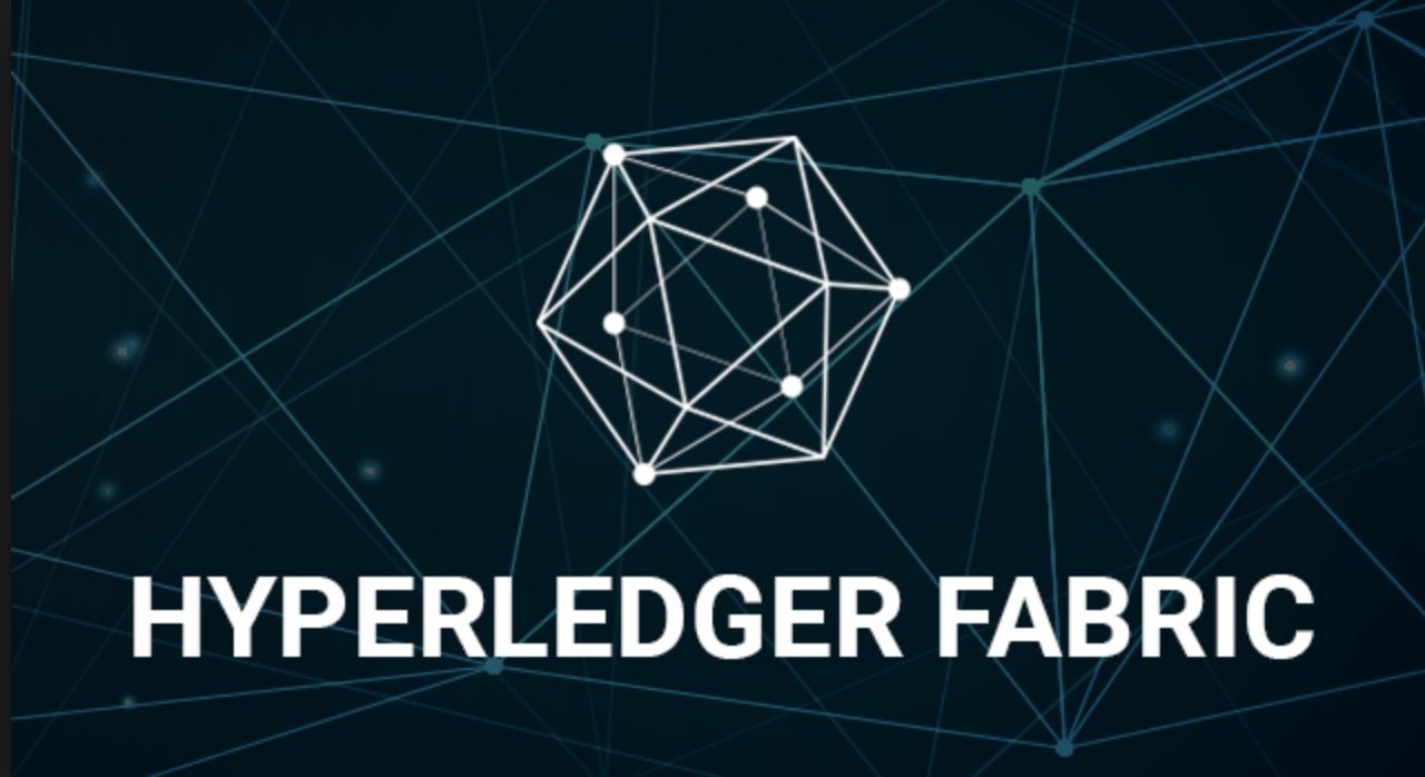 Hyperledger Fabric 2.x 动态更新智能合约