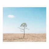 WebSocket 和 gRPC 服务