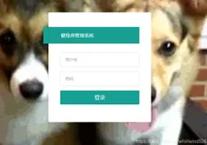 基于Springboot实现健身房管理系统
