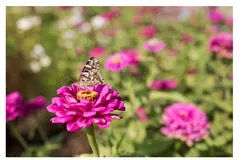 Docker容器基础(二) - Docker公司的入场