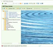 SAP RETAIL 执行事务代码WRP1，报错-Transaction WRP1 cannot be executed-