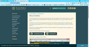 买不起MacBook，使用Windows 10配置zsh命令行做开发(二)