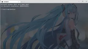 Windows Terminal Preview (Windows下好用的小黑框)