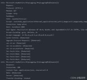 .NET6新东西--Http Logging