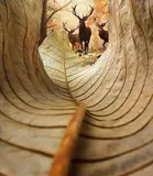 继续探索with语句