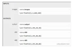 yolo系列的ONNX部署(C++)【适用于v4\v5\v5-6.1\v7】 