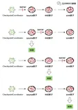 Flink可靠性的基石-checkpoint机制详细解析 （一）