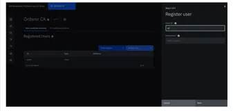 在IBM Cloud中运行Fabric (二)