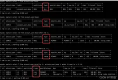 庖丁解牛，MySQL执行计划Explain的2大核心
