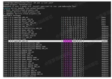 Java - Linux 下安装 java 