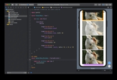 SwiftUI—如何给图像视图添加边框、透明度和阴影