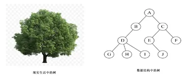 【数据结构】二叉树（C语言实现）