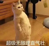 点云语义分割，现已正式加入 MMDet3D 全家桶！