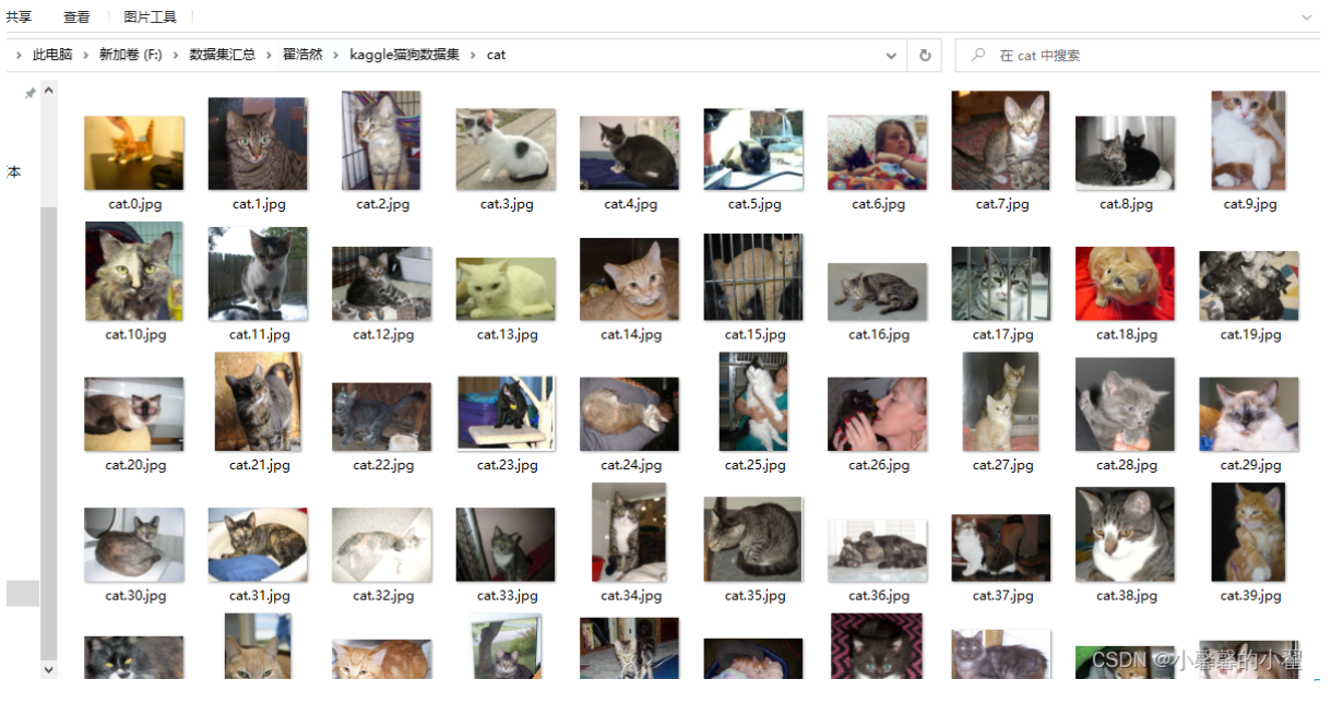 kaggle猫狗数据集开源——用于经典CNN分类实战