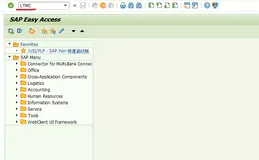 SAP S4HANA 实战LTMC - 打响了第一炮（一）