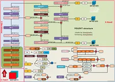YOLOv7 | 模型结构与正负样本分配解析