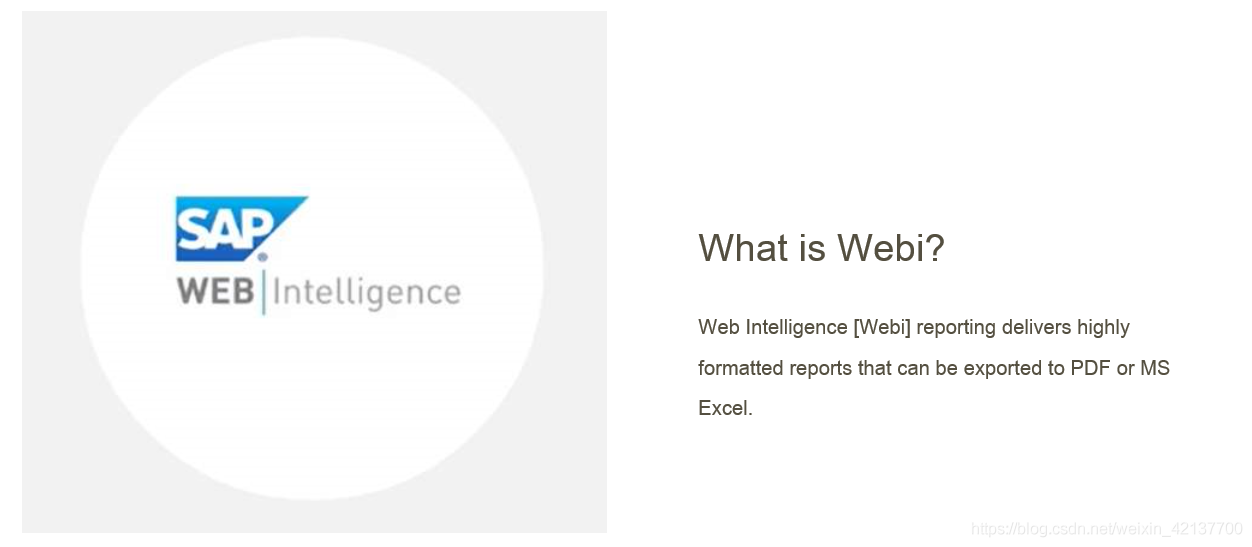 SAP Web Intelligence初探