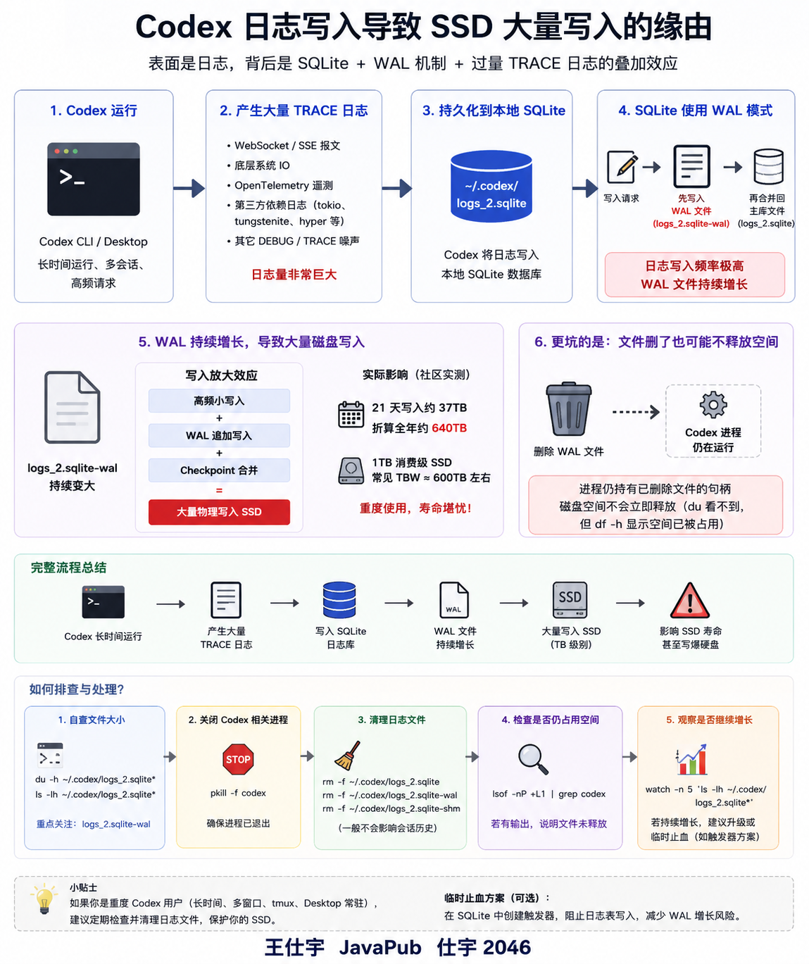 用 Codex 的朋友，真的建议你看一眼硬盘写入