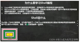 Linux：shell编程1(内含：1.shell简介+2.shell实操+3.shell的变量介绍+4.shell变量的定义)