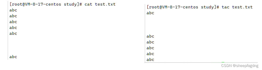 Linux指令|more|less|head|tail|管道|sort|wc|uniq