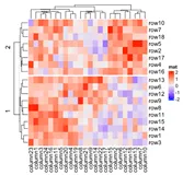 使用ComplexHeatmap绘制复杂热图|Note2:单个热图(万字超详细教程）（下）