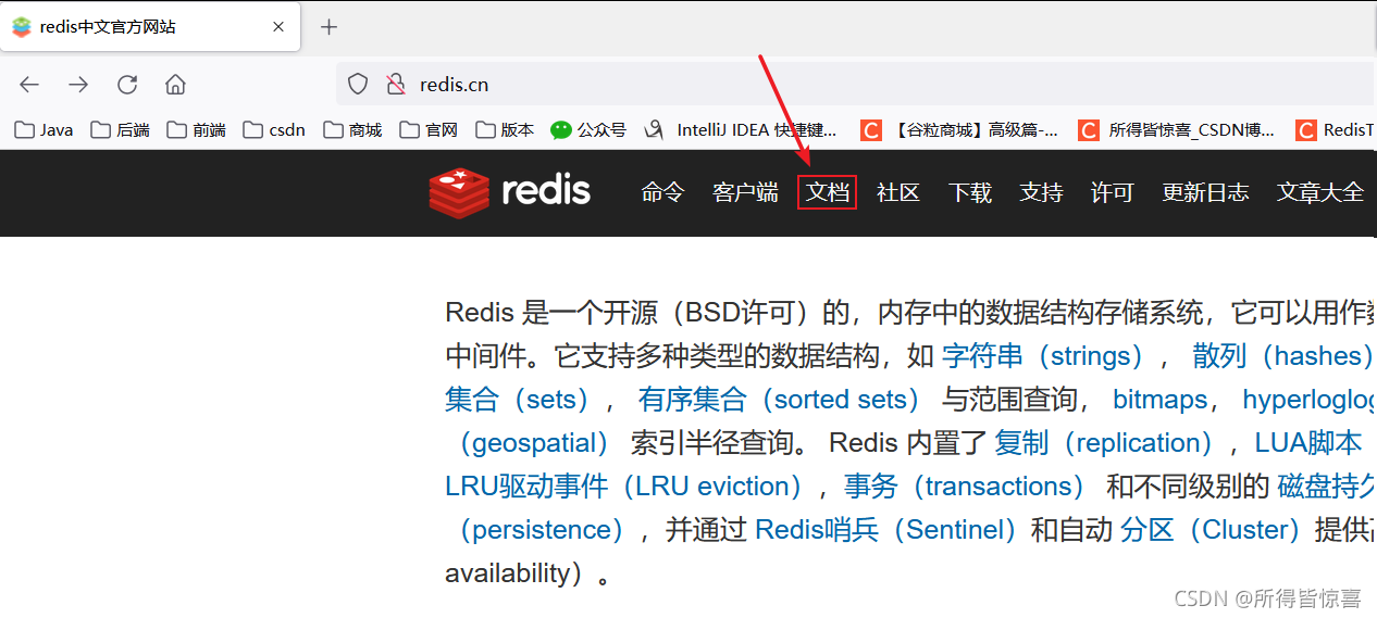 REDIS10_Redission的入门案例、多主案例搭建、分布式锁进行加锁、解锁底层源码解析（一）