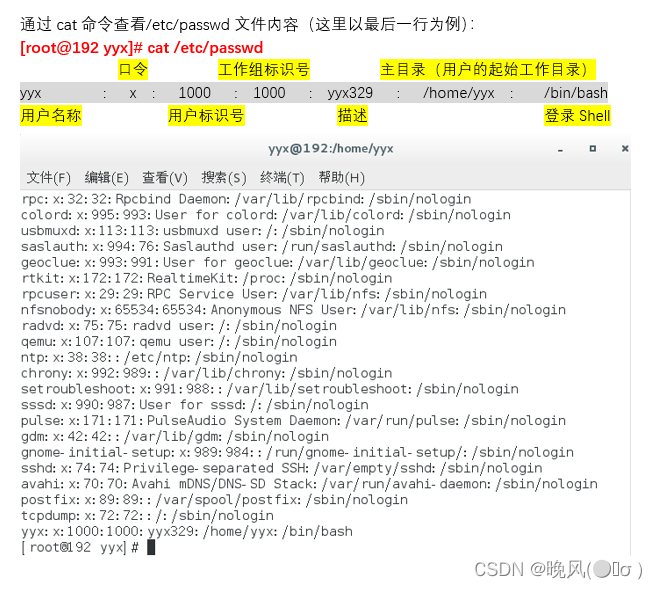 长期更新 软考网络工程师学习笔记 Section 12 Linux系统与文件管理命令 下 阿里云开发者社区