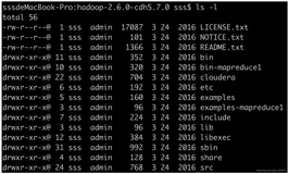 HDFS伪分布式环境搭建（中）