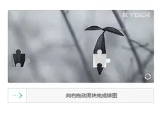 行为验证码验证类型的讲解