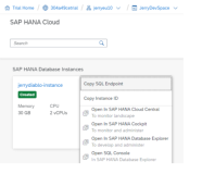 如何使用 Node.js 访问 SAP HANA Cloud 数据库里的数据