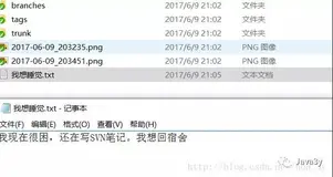 SVN就是这么简单（下）
