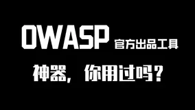 Amass信息收集神器使用指南 