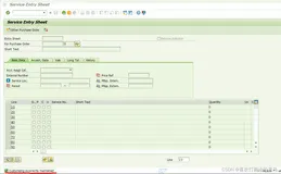 SAP MM在ML81N事务代码界面报错- Customizing incorrectly maintained –之对策