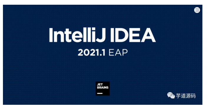 IntelliJ IDEA 2021.1 EAP 1 发布！