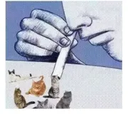 我写了一个程序，我难过的时候，电脑会自动给我发猫猫的照片