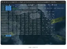 iOS逆向 08：对称算法（下）