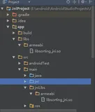 Android使用NDK（从java调用本地函数'JNI'）