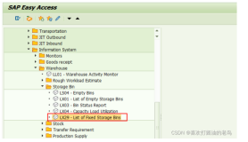 SAP WM初阶事务代码LX29 - List of Fixed Storage Bins