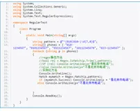 C#编程-86：正则表达式查找